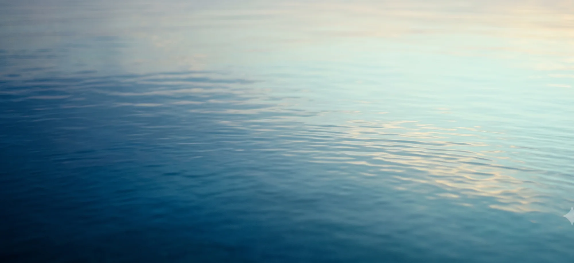 Calm still water at dawn